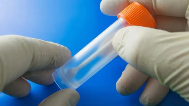 Jak prawidłowo przechowywać kał dziecka do badania – uniknij błędów i zapewnij wiarygodne wyniki Jak prawidłowo przechowywać kał dziecka do badania – uniknij błędów i zapewnij wiarygodne wyniki