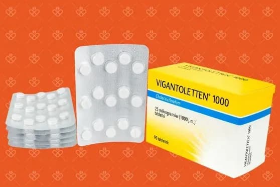 Vigantoletten 1000 - lek czy suplement? Prawda o witaminie D3 Vigantoletten 1000 - lek czy suplement? Prawda o witaminie D3